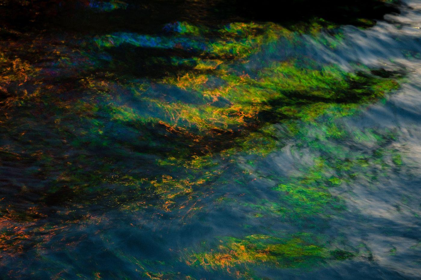 Iridescent green and orange sheen swirling across moving water